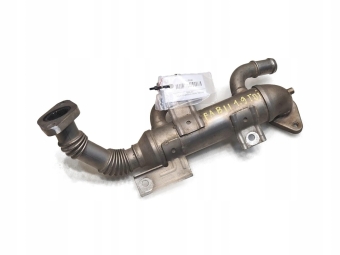 CHŁODNICZKA SPALIN SKODA FABIA II 1.9 TDI 038131513K