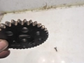 003d2033ff240a957de0a1c5598185f2