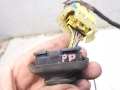 4819eec3f395aaec314184fa252525dd