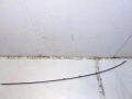 119f0d3e827abbda79be6440ab9f0621