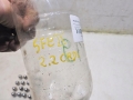 f453df42705f928130d4d161da3fb26e
