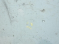 d0867967aae1953c97412b31b04e2951