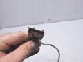 c1c0537edd5376be1e64ad50f083f009