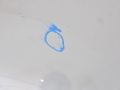 9c2f4a98ac7c9cd734f91cf3d08e5657