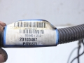 c55e46a85a71543415ca205149e5769e