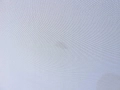 e5b59781178c395046b0f5ea4502161d