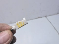 c72446a97949af808475ba9b3604cf2e