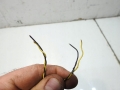 e956805c50a0402da80be9ac00001748