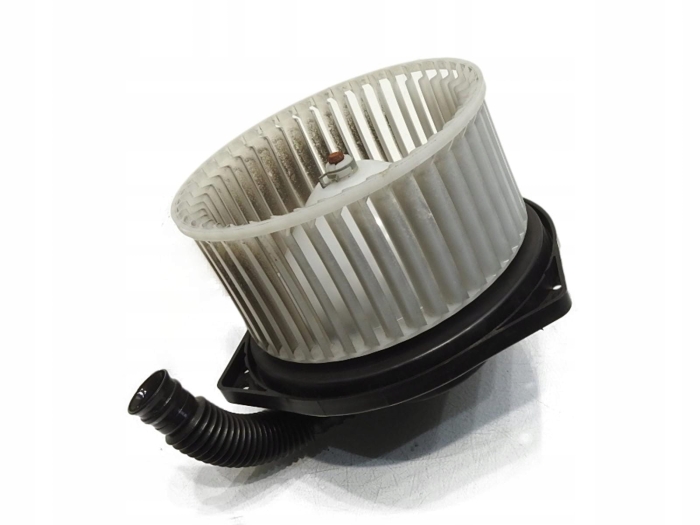 cfe70c197b94ab2f08182a2ee11d8c3c