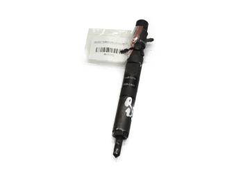 WTRYSK WTRYSKI RENAULT KANGOO II 1.5 DCI 166001137R H8200421897 28232251