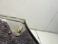 be0f7850d7031469c1dcb8bbda45dfe0