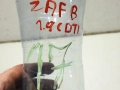 358a0daf17089b02ae9454ffd7bbe343