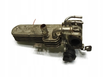 CHŁODNICZKA SPALIN VW PASSAT B6 038131513AD