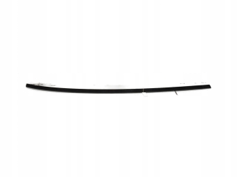 LISTWA DACHOWA DACHU MERCEDES R W251 A2516902280