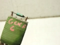 a425cd35447f7df0554ef258f4bcb1fc